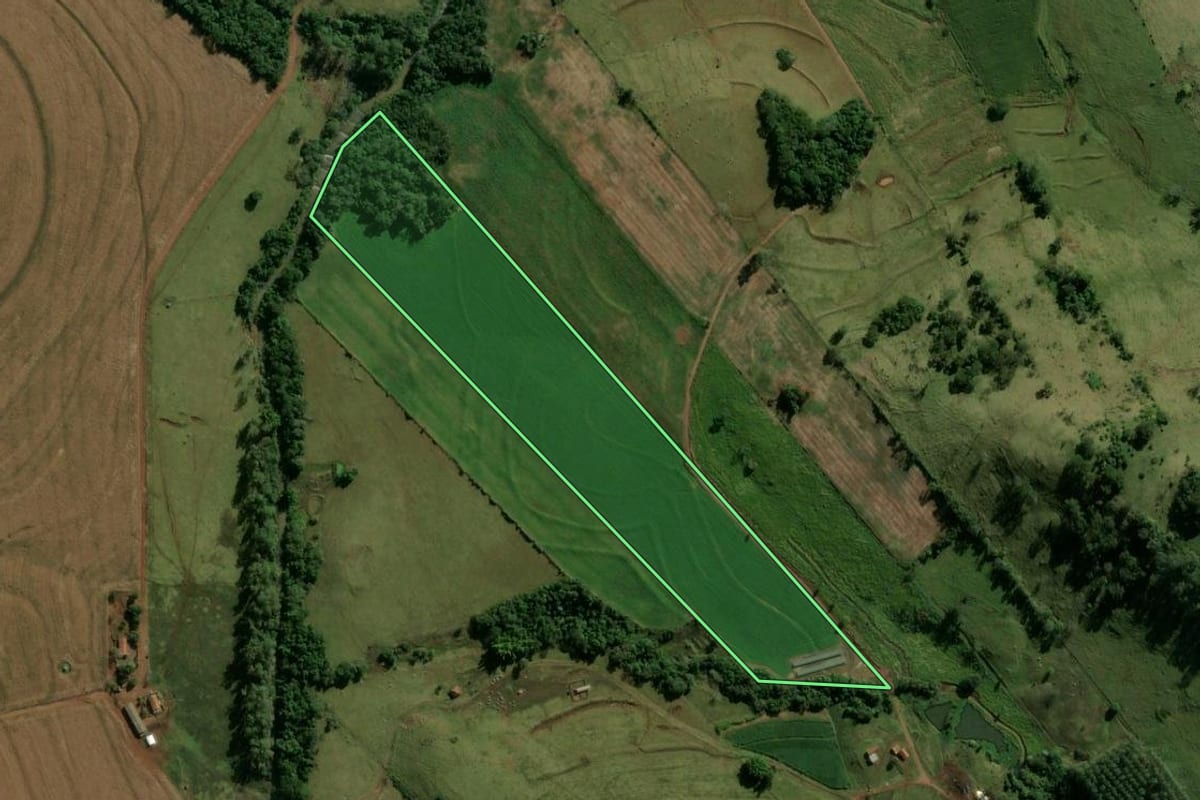 Imagem de satélite do imóvel rural em Novo Itacolomi (PR), com o contorno declarado no CAR desenhado por cima.