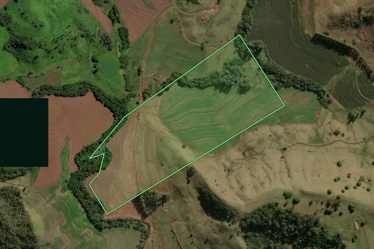 Imagem de satélite do imóvel rural em Novo Itacolomi (PR), com o contorno declarado no CAR desenhado por cima.