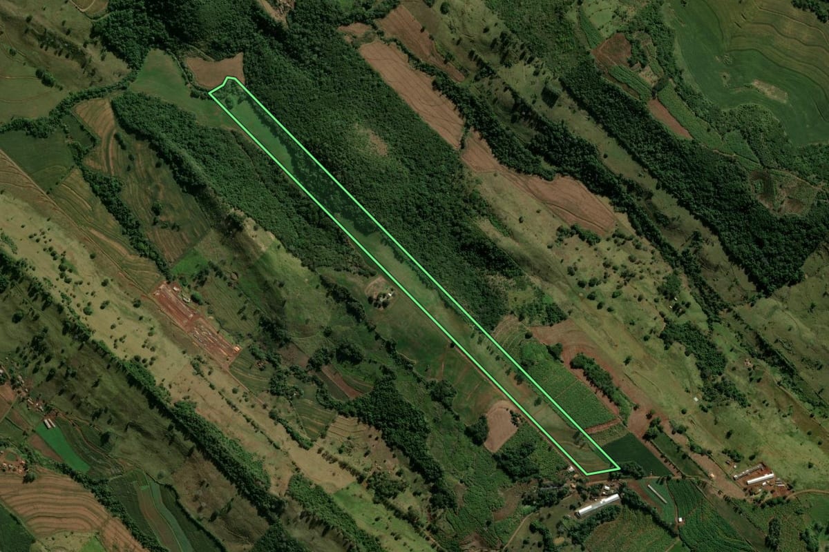 Imagem de satélite do imóvel rural em Novo Itacolomi (PR), com o contorno declarado no CAR desenhado por cima.