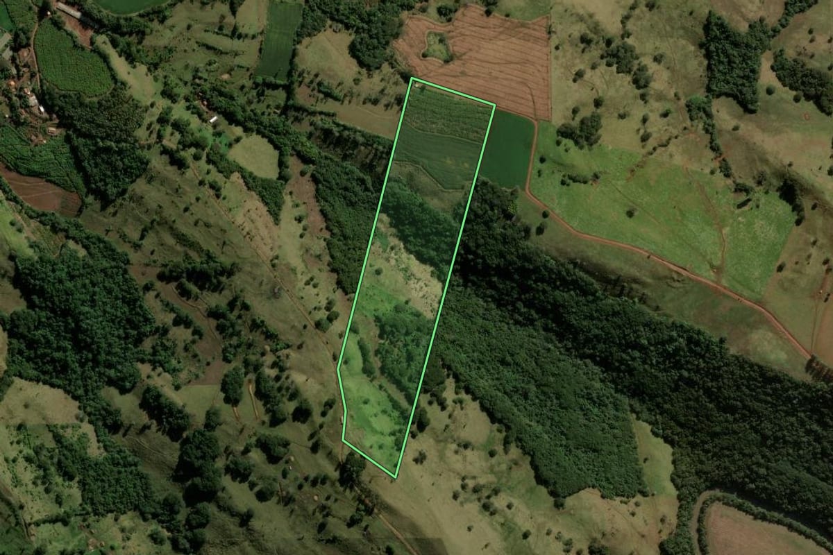Imagem de satélite do imóvel rural em Novo Itacolomi (PR), com o contorno declarado no CAR desenhado por cima.