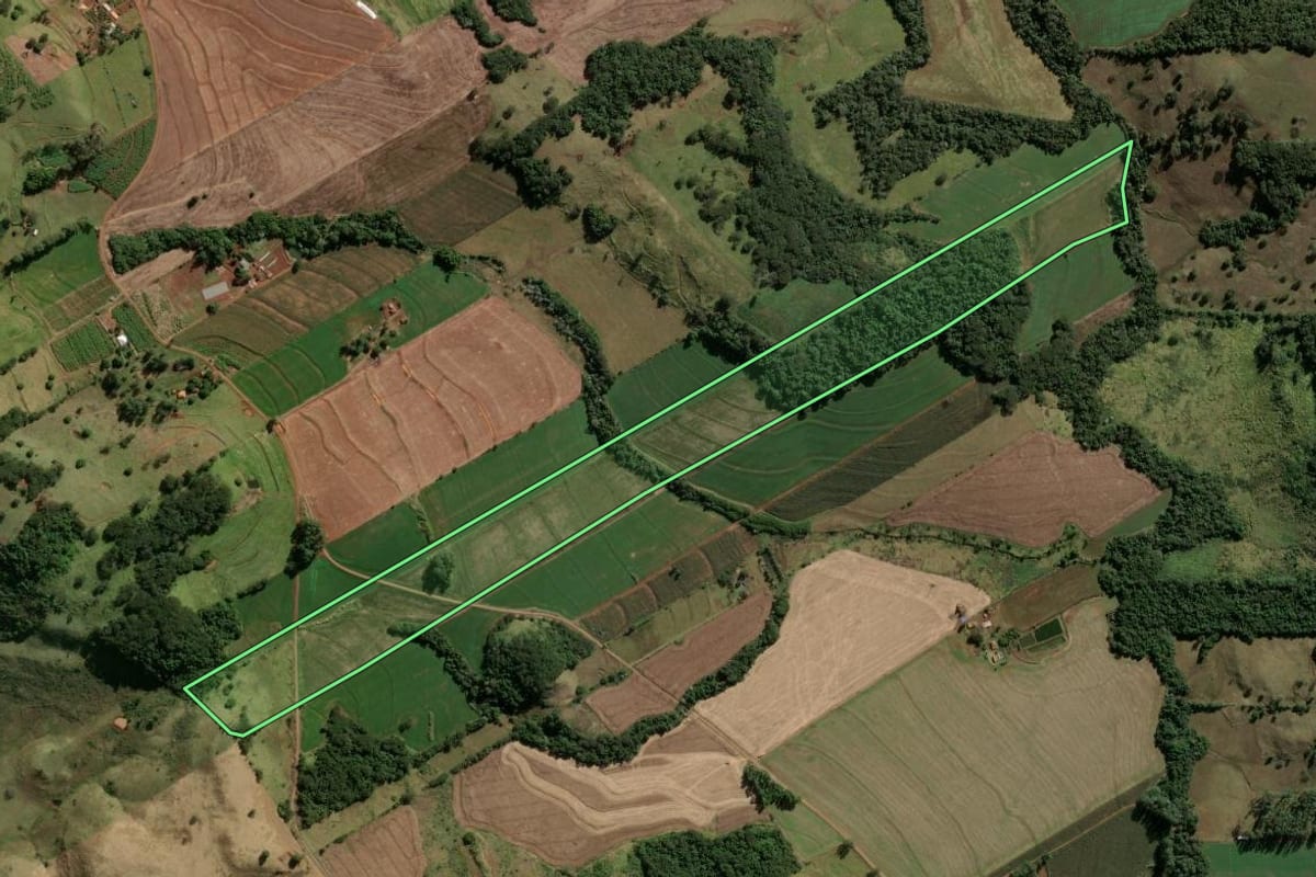 Imagem de satélite do imóvel rural em Novo Itacolomi (PR), com o contorno declarado no CAR desenhado por cima.