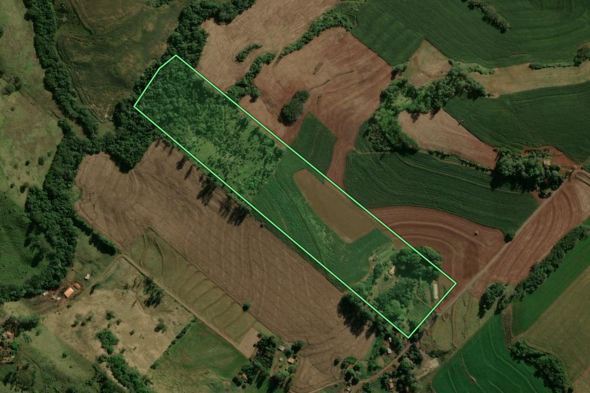 Imagem de satélite do imóvel rural em Novo Itacolomi (PR), com o contorno declarado no CAR desenhado por cima.