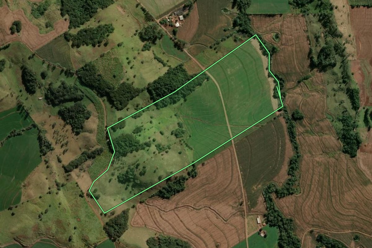 Imagem de satélite do imóvel rural em Novo Itacolomi (PR), com o contorno declarado no CAR desenhado por cima.