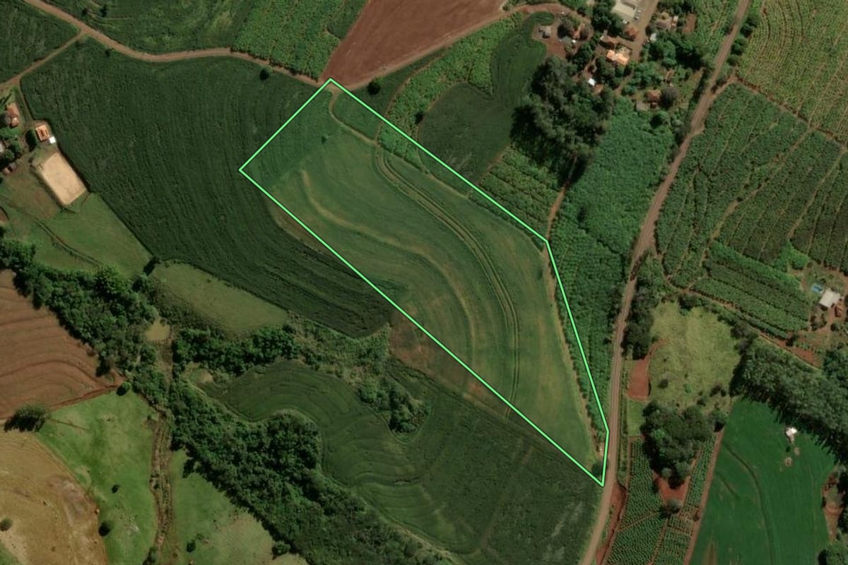 Imagem de satélite do imóvel rural em Novo Itacolomi (PR), com o contorno declarado no CAR desenhado por cima.
