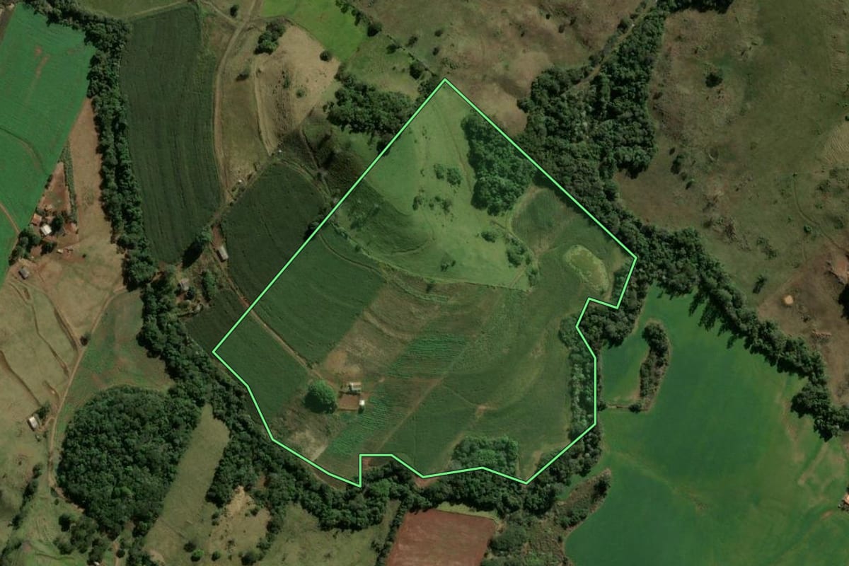 Imagem de satélite do imóvel rural em Novo Itacolomi (PR), com o contorno declarado no CAR desenhado por cima.