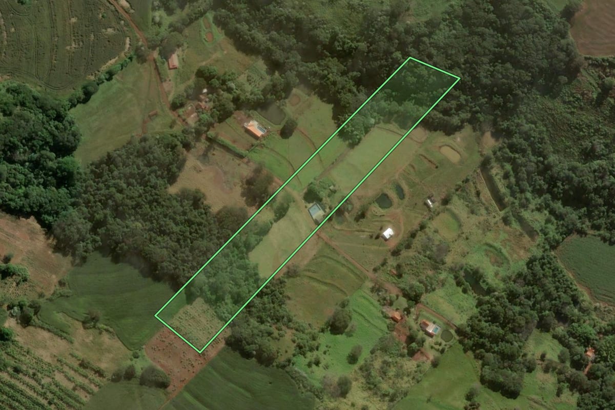 Imagem de satélite do imóvel rural em Novo Itacolomi (PR), com o contorno declarado no CAR desenhado por cima.