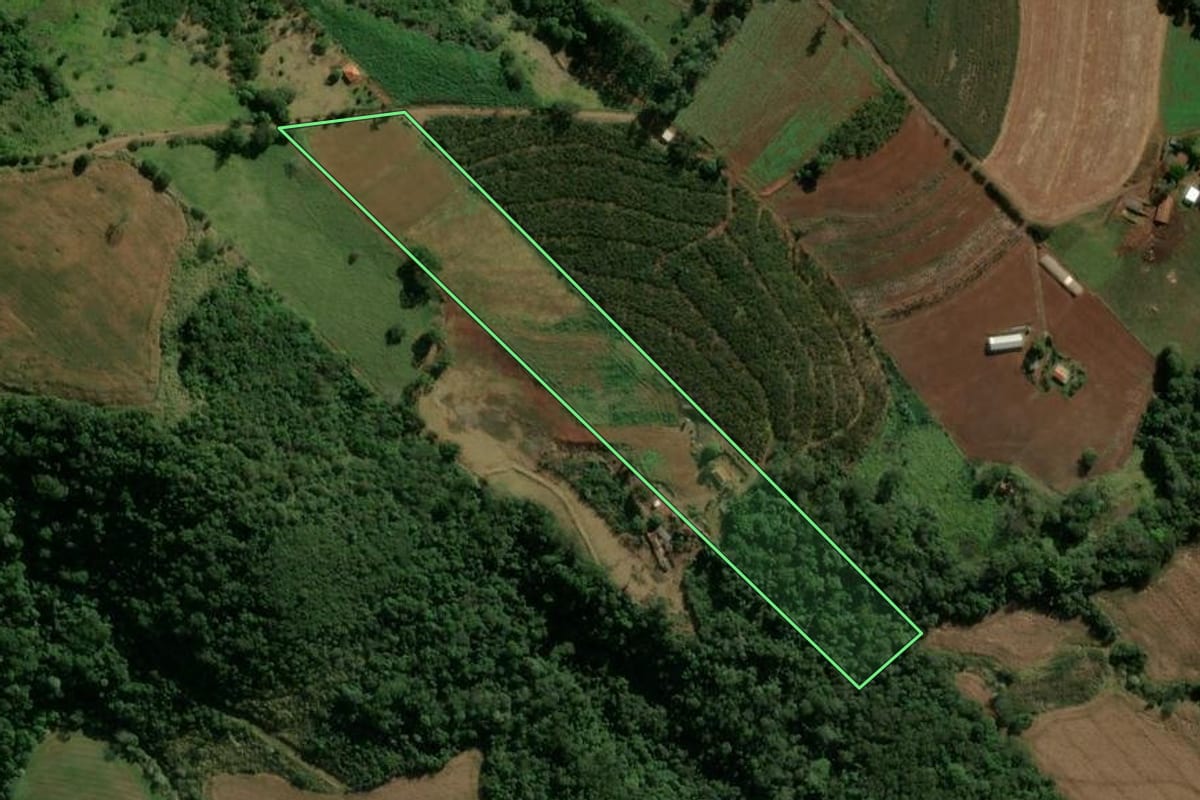Imagem de satélite do imóvel rural em Novo Itacolomi (PR), com o contorno declarado no CAR desenhado por cima.
