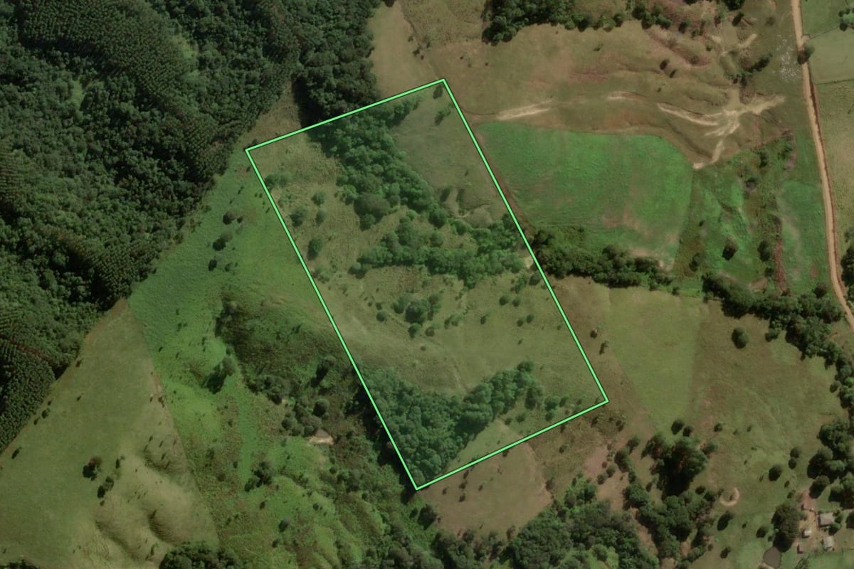 Imagem de satélite do imóvel rural em Ortigueira (PR), com o contorno declarado no CAR desenhado por cima.