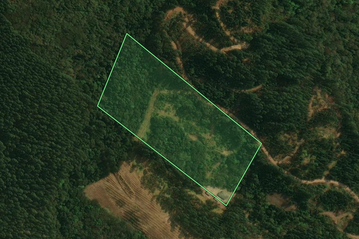 Imagem de satélite do imóvel rural em Ortigueira (PR), com o contorno declarado no CAR desenhado por cima.