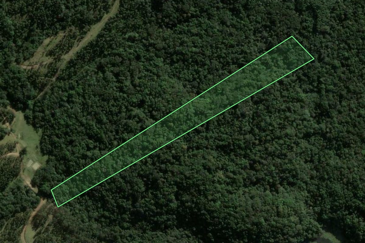 Imagem de satélite do imóvel rural em Ortigueira (PR), com o contorno declarado no CAR desenhado por cima.