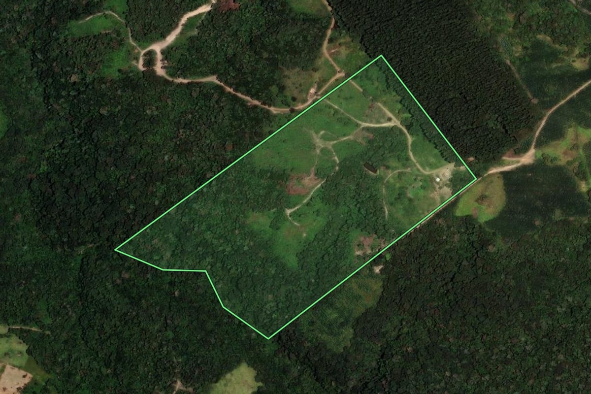 Imagem de satélite do imóvel rural em Ortigueira (PR), com o contorno declarado no CAR desenhado por cima.