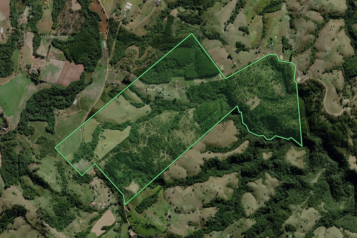 Imagem de satélite do imóvel rural em Ortigueira (PR), com o contorno declarado no CAR desenhado por cima.