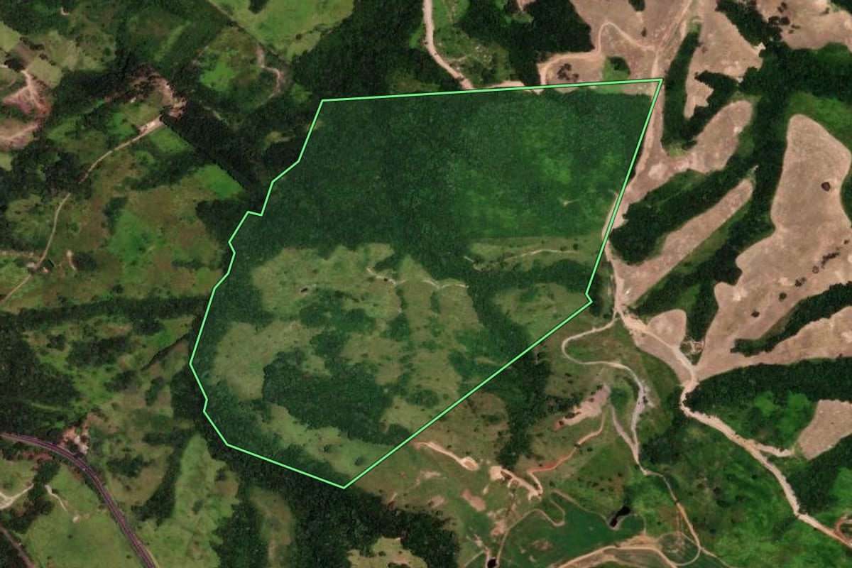 Imagem de satélite do imóvel rural em Ortigueira (PR), com o contorno declarado no CAR desenhado por cima.