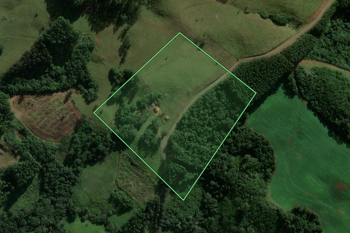 Imagem de satélite do imóvel rural em Ortigueira (PR), com o contorno declarado no CAR desenhado por cima.