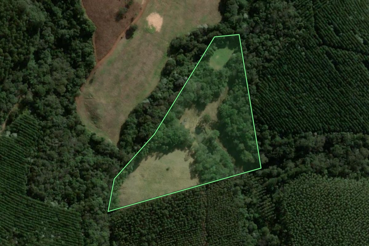 Imagem de satélite do imóvel rural em Ortigueira (PR), com o contorno declarado no CAR desenhado por cima.
