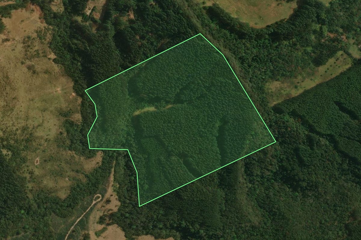 Imagem de satélite do imóvel rural em Ortigueira (PR), com o contorno declarado no CAR desenhado por cima.
