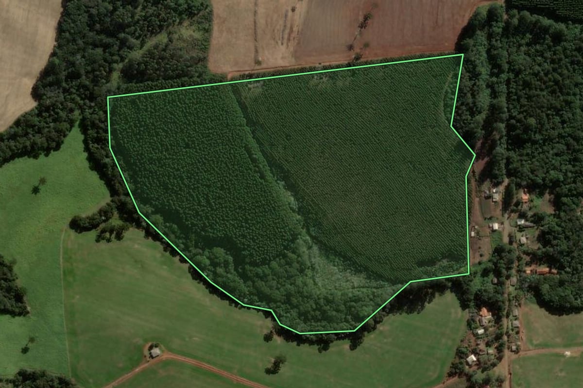 Imagem de satélite do imóvel rural em Ortigueira (PR), com o contorno declarado no CAR desenhado por cima.