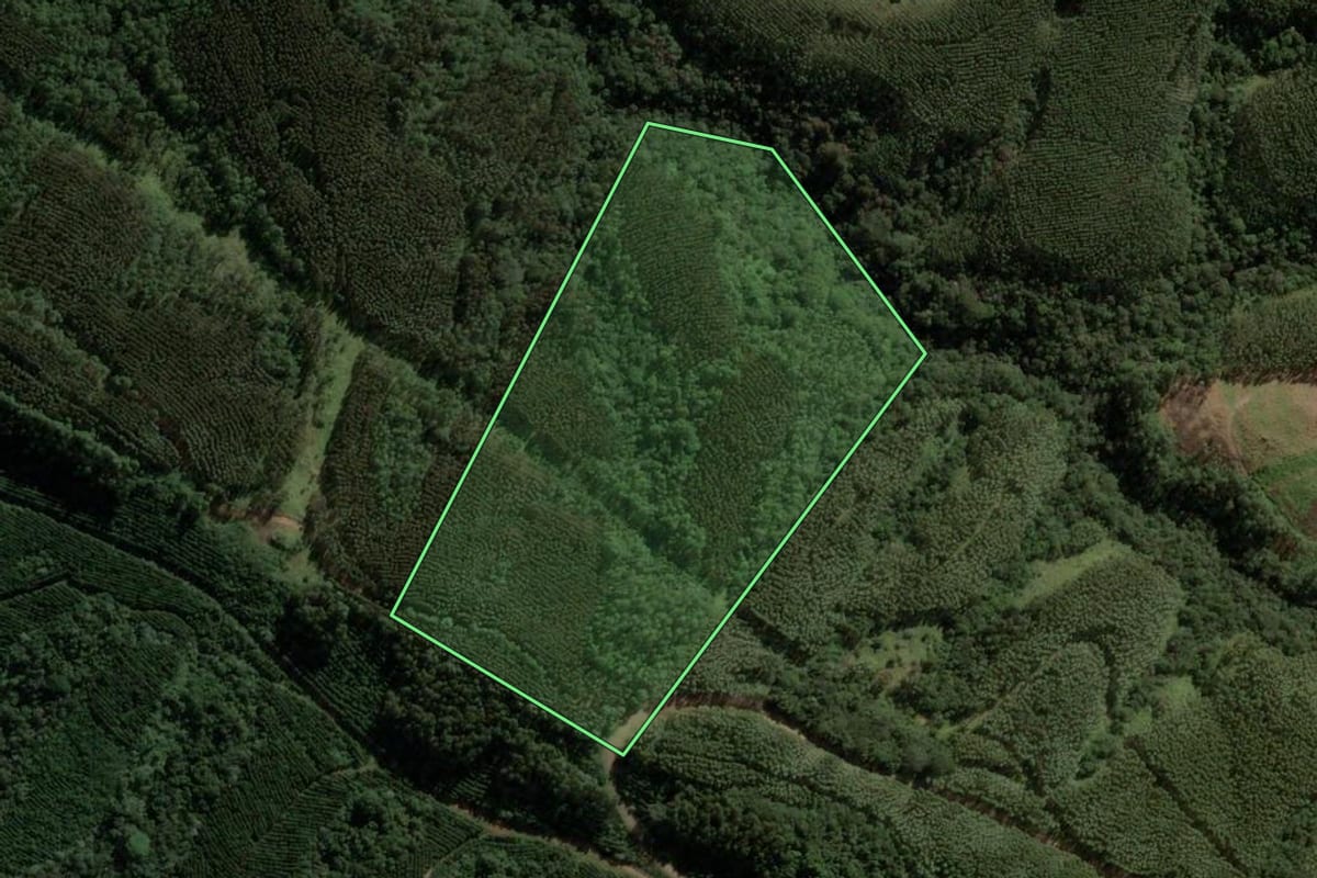 Imagem de satélite do imóvel rural em Ortigueira (PR), com o contorno declarado no CAR desenhado por cima.
