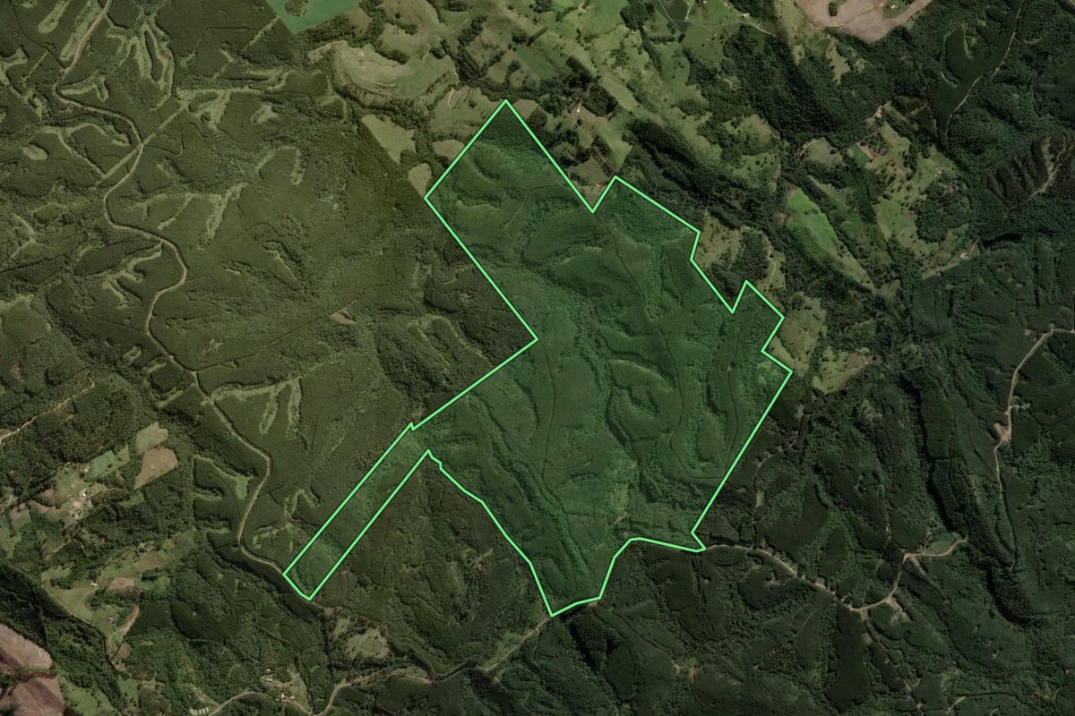 Imagem de satélite do imóvel rural em Ortigueira (PR), com o contorno declarado no CAR desenhado por cima.