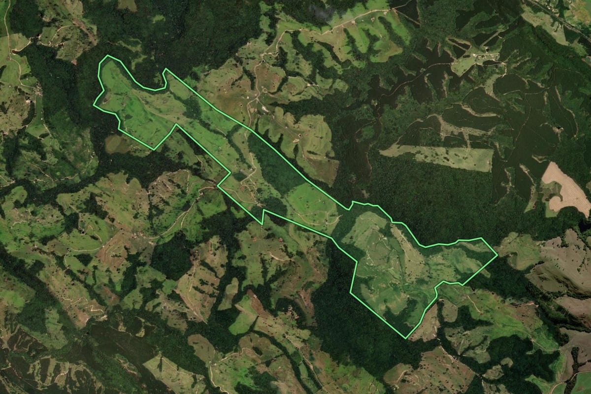 Imagem de satélite do imóvel rural em Ortigueira (PR), com o contorno declarado no CAR desenhado por cima.