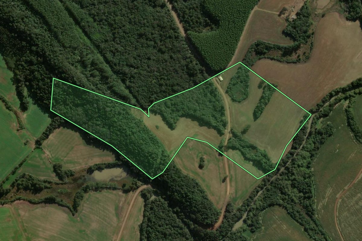 Imagem de satélite do imóvel rural em Ortigueira (PR), com o contorno declarado no CAR desenhado por cima.