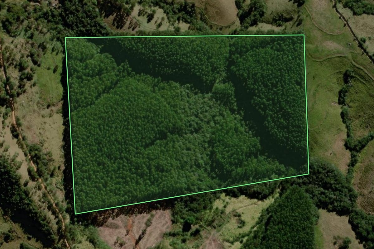 Imagem de satélite do imóvel rural em Ortigueira (PR), com o contorno declarado no CAR desenhado por cima.