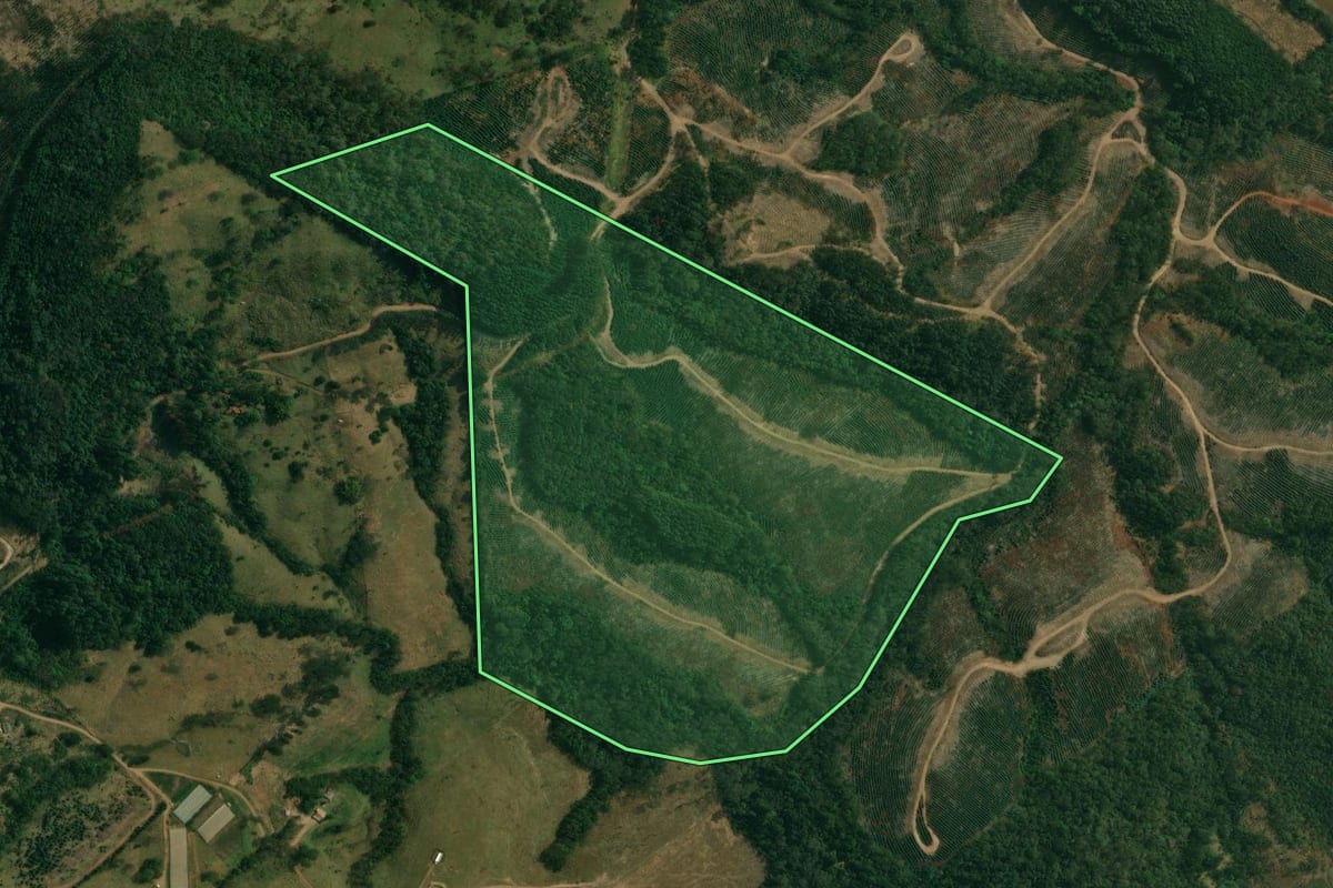 Imagem de satélite do imóvel rural em Ortigueira (PR), com o contorno declarado no CAR desenhado por cima.