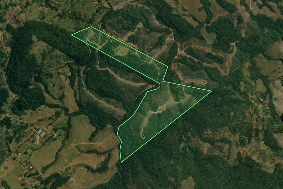 Imagem de satélite do imóvel rural em Ortigueira (PR), com o contorno declarado no CAR desenhado por cima.