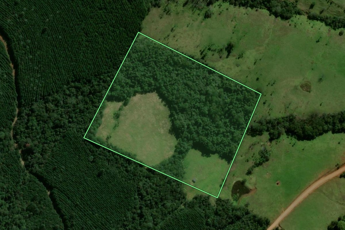 Imagem de satélite do imóvel rural em Ortigueira (PR), com o contorno declarado no CAR desenhado por cima.