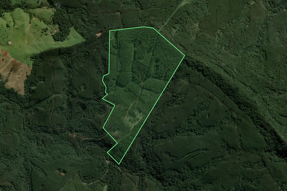 Imagem de satélite do imóvel rural em Ortigueira (PR), com o contorno declarado no CAR desenhado por cima.