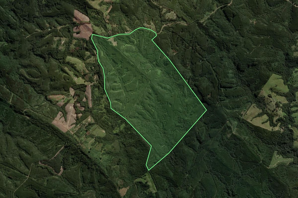Imagem de satélite do imóvel rural em Ortigueira (PR), com o contorno declarado no CAR desenhado por cima.