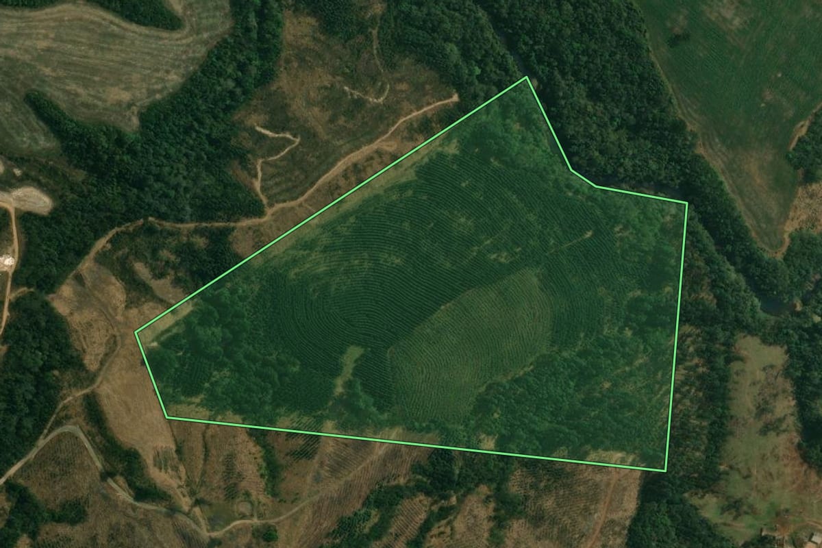 Imagem de satélite do imóvel rural em Ortigueira (PR), com o contorno declarado no CAR desenhado por cima.