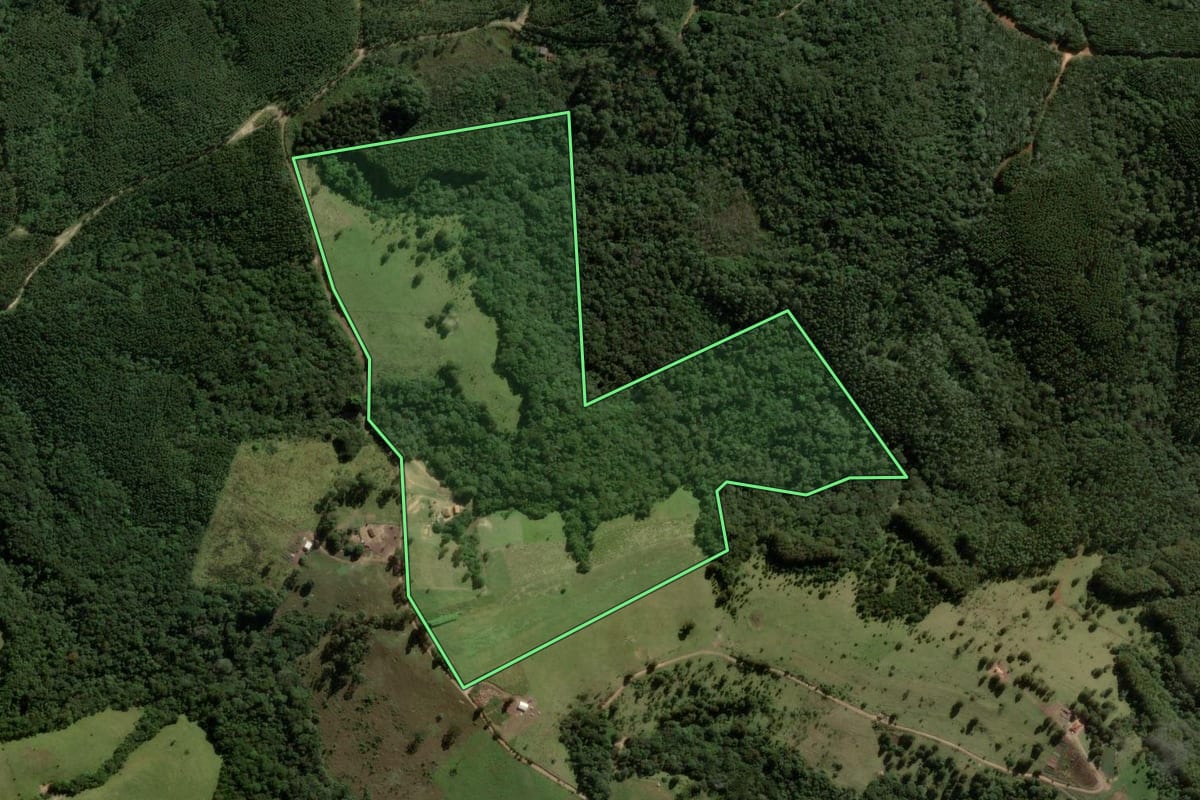 Imagem de satélite do imóvel rural em Ortigueira (PR), com o contorno declarado no CAR desenhado por cima.