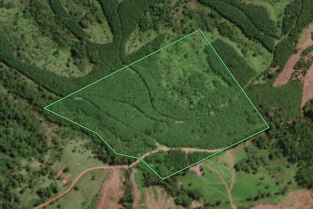 Imagem de satélite do imóvel rural em Ortigueira (PR), com o contorno declarado no CAR desenhado por cima.