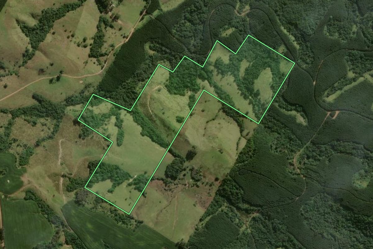 Imagem de satélite do imóvel rural em Ortigueira (PR), com o contorno declarado no CAR desenhado por cima.