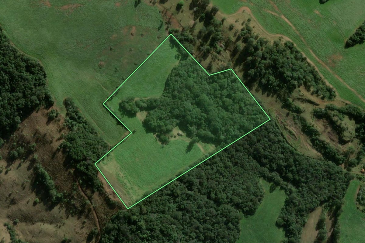 Imagem de satélite do imóvel rural em Ortigueira (PR), com o contorno declarado no CAR desenhado por cima.