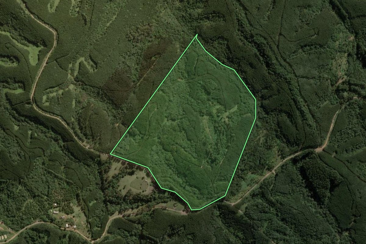 Imagem de satélite do imóvel rural em Ortigueira (PR), com o contorno declarado no CAR desenhado por cima.