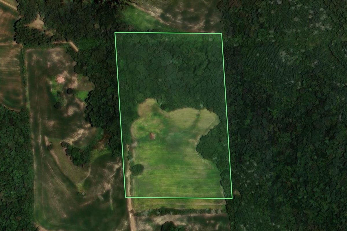 Imagem de satélite do imóvel rural em Ortigueira (PR), com o contorno declarado no CAR desenhado por cima.