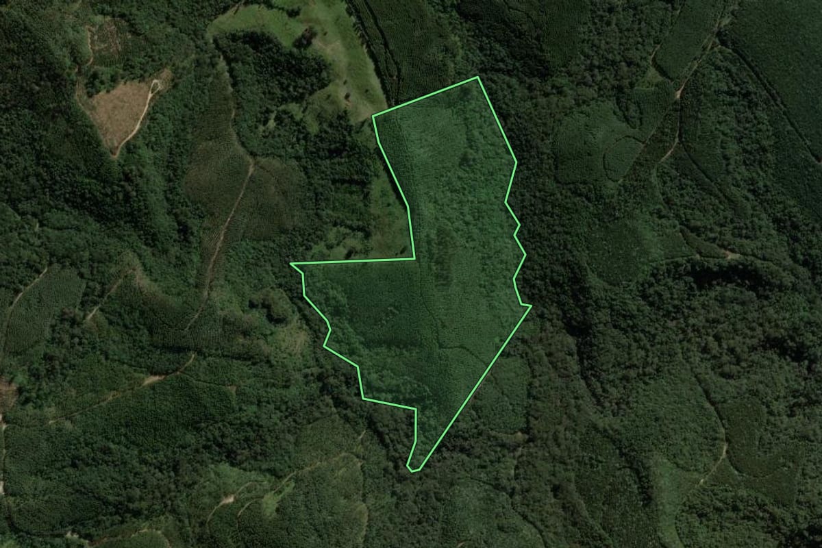 Imagem de satélite do imóvel rural em Ortigueira (PR), com o contorno declarado no CAR desenhado por cima.