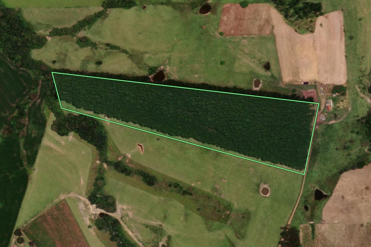 Imagem de satélite do imóvel rural em Ortigueira (PR), com o contorno declarado no CAR desenhado por cima.