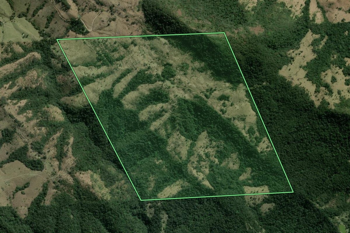 Imagem de satélite do imóvel rural em Ortigueira (PR), com o contorno declarado no CAR desenhado por cima.