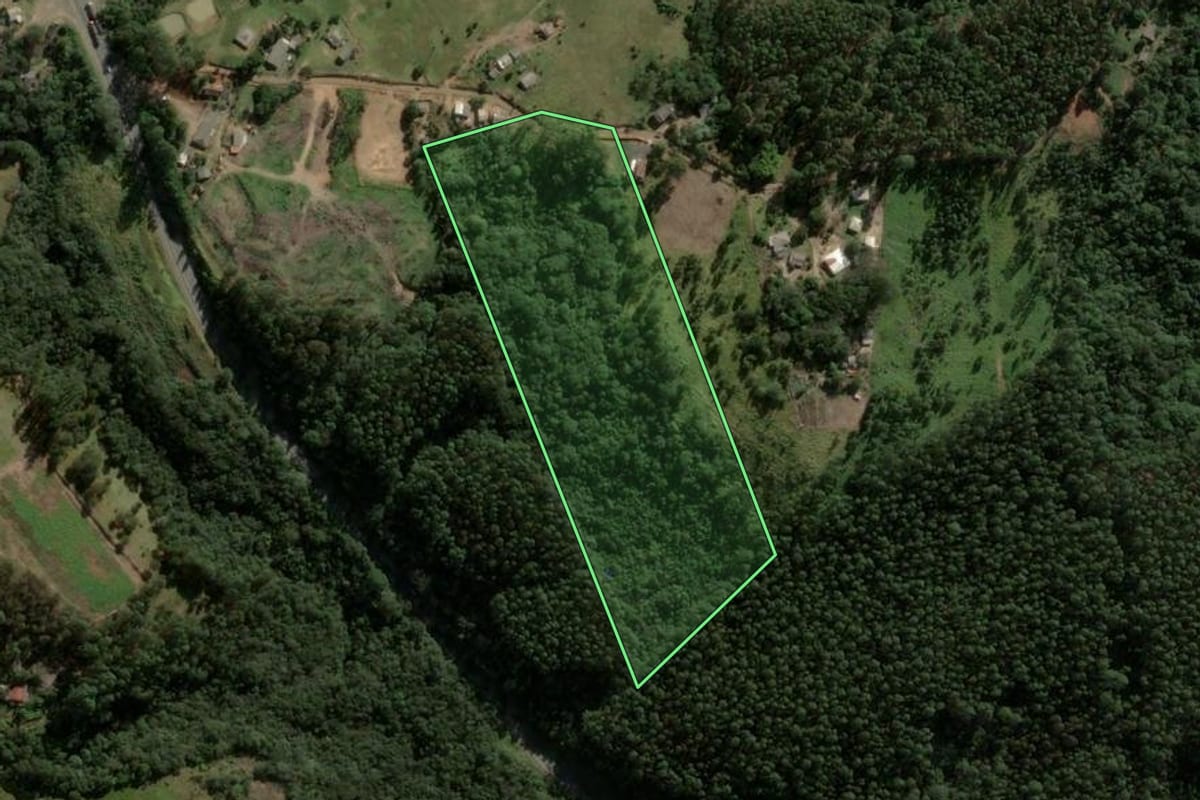 Imagem de satélite do imóvel rural em Ortigueira (PR), com o contorno declarado no CAR desenhado por cima.