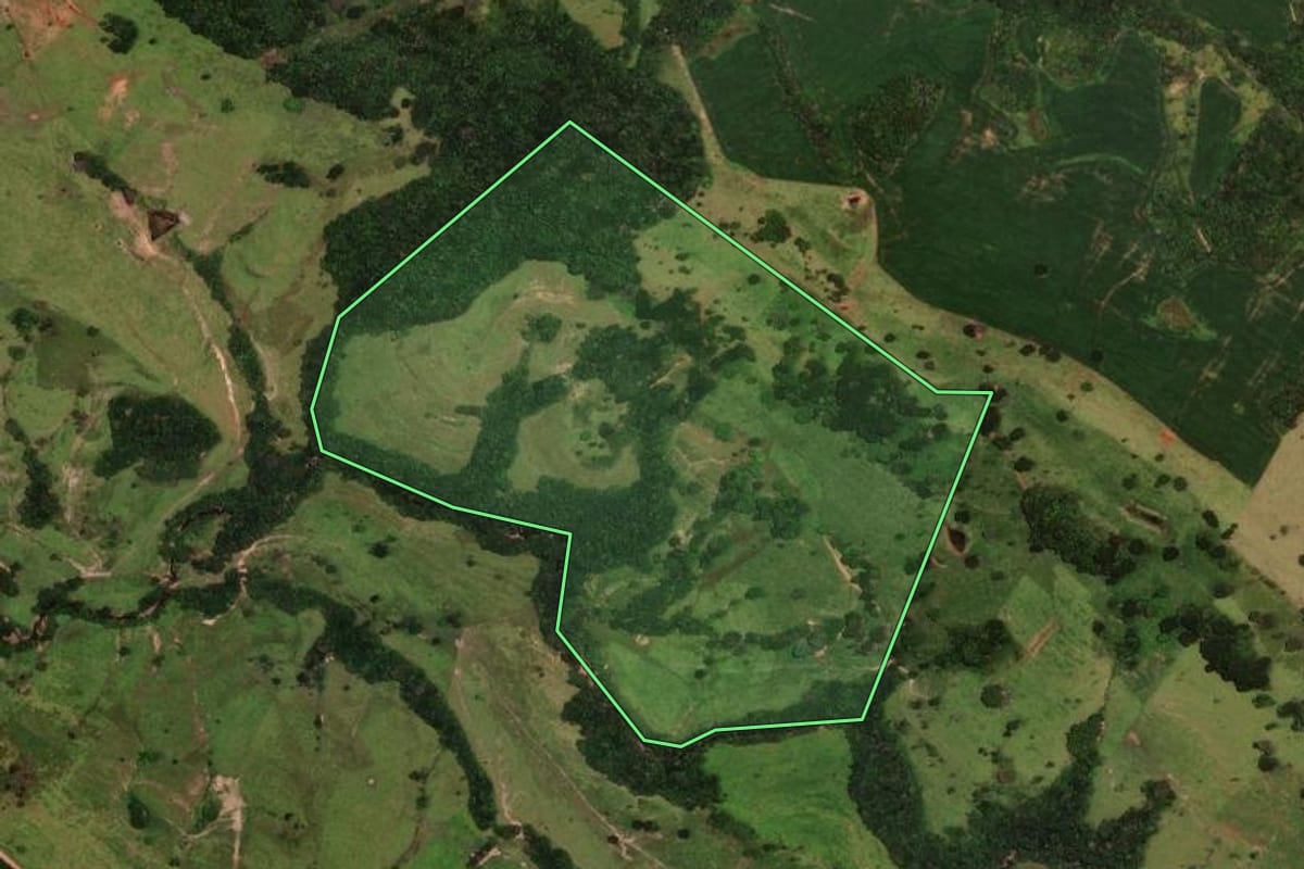 Imagem de satélite do imóvel rural em Ortigueira (PR), com o contorno declarado no CAR desenhado por cima.