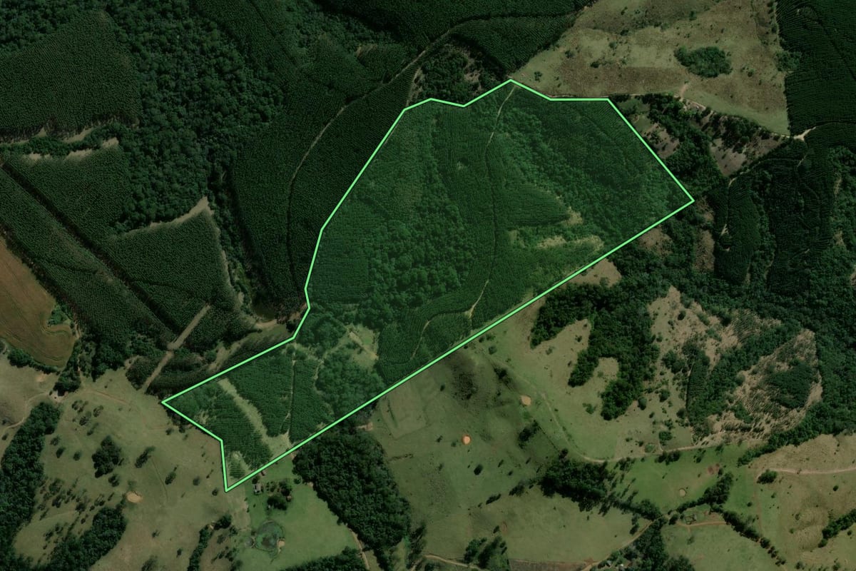 Imagem de satélite do imóvel rural em Ortigueira (PR), com o contorno declarado no CAR desenhado por cima.
