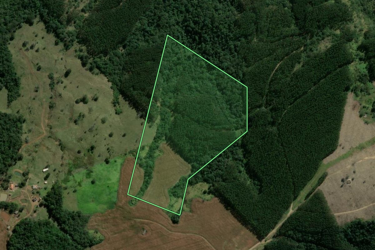 Imagem de satélite do imóvel rural em Ortigueira (PR), com o contorno declarado no CAR desenhado por cima.