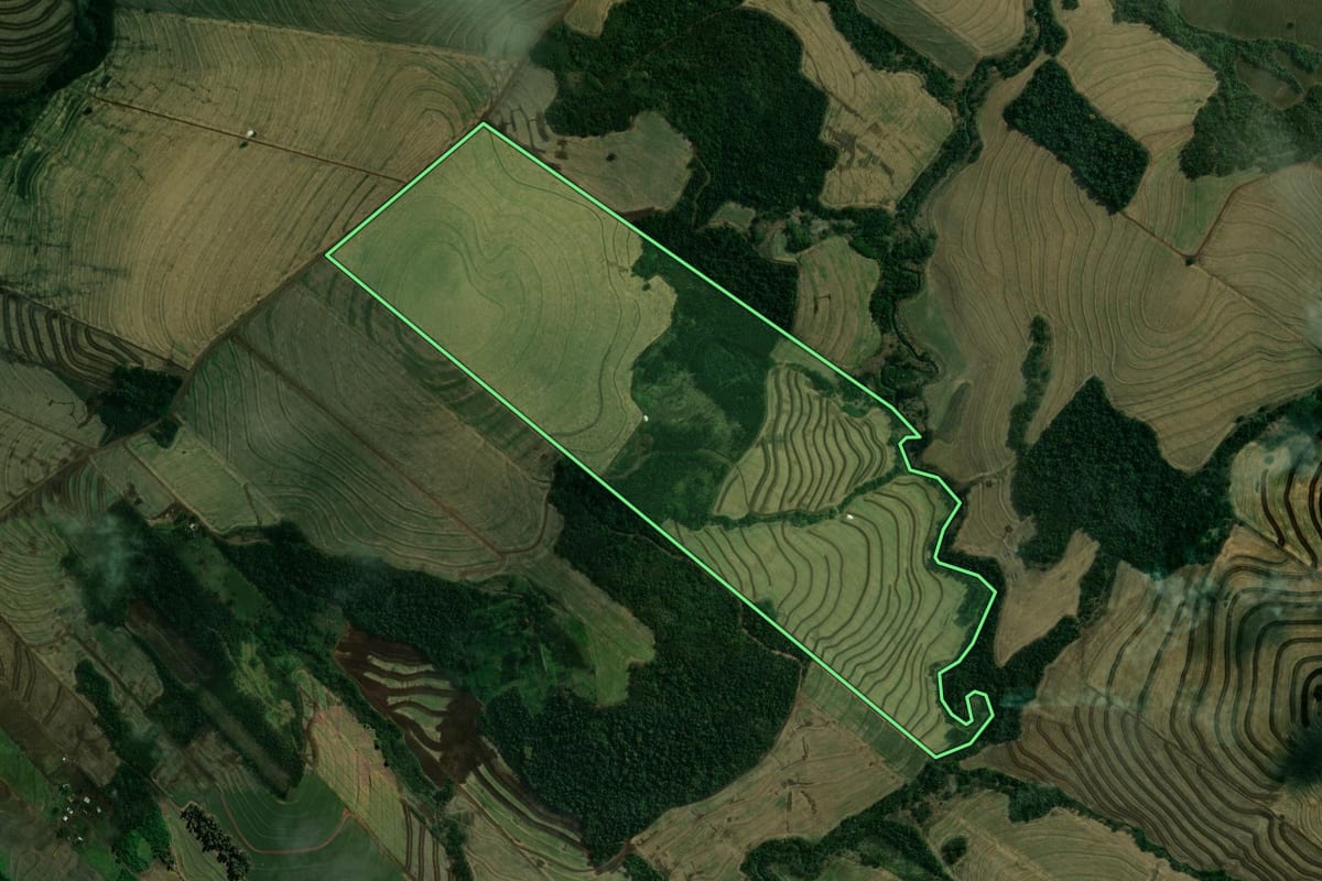 Imagem de satélite do imóvel rural em Ourizona (PR), com o contorno declarado no CAR desenhado por cima.
