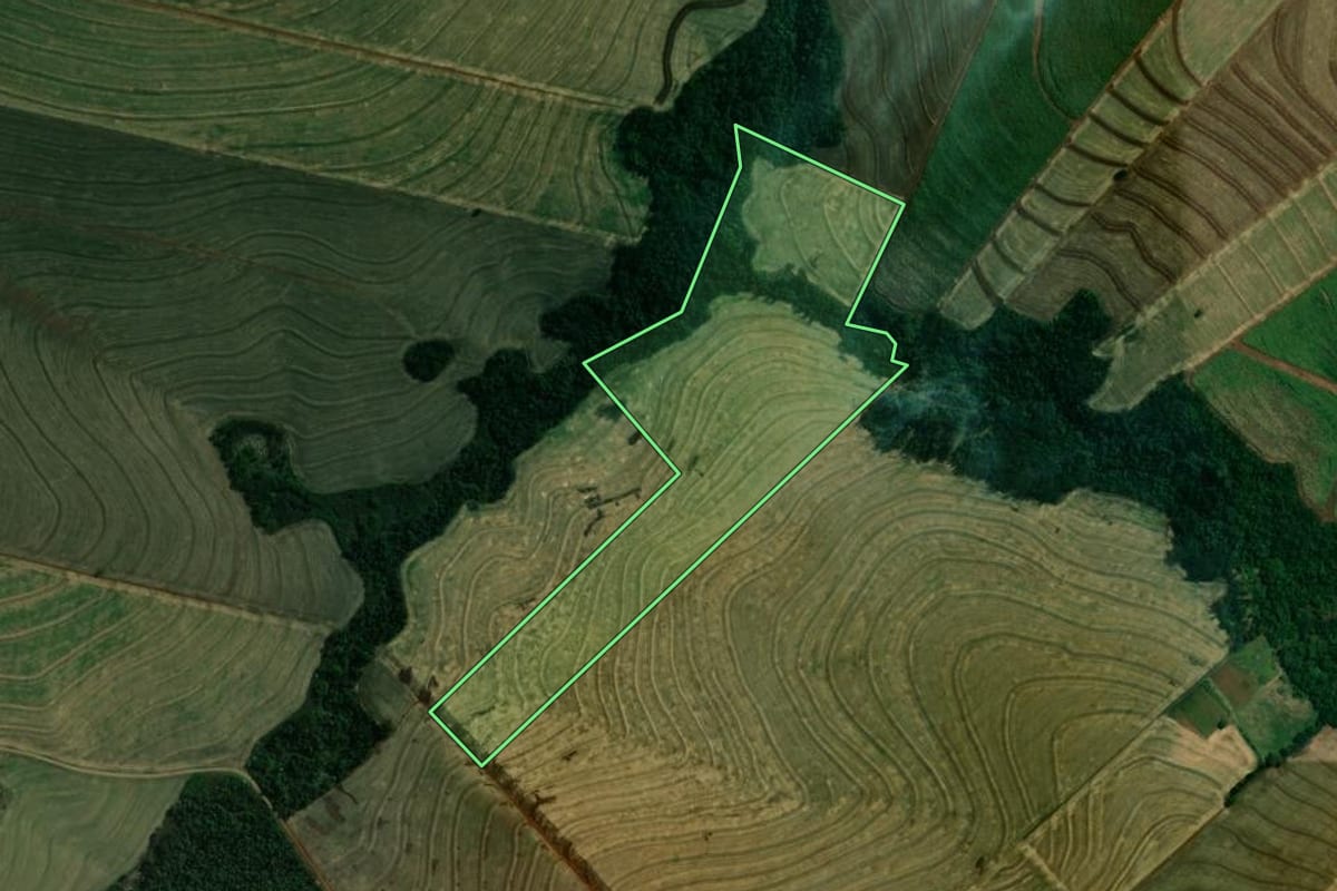 Imagem de satélite do imóvel rural em Ourizona (PR), com o contorno declarado no CAR desenhado por cima.