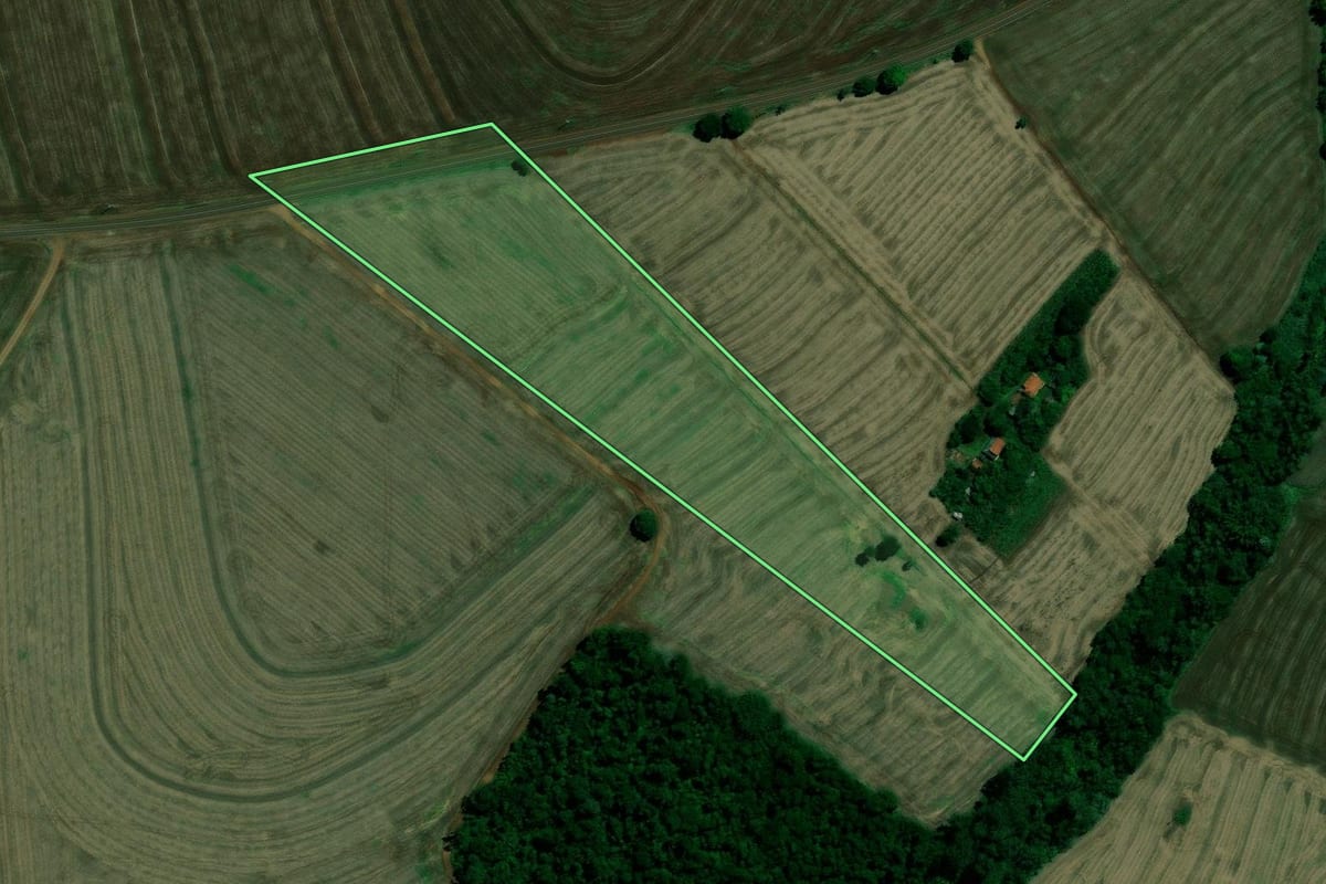 Imagem de satélite do imóvel rural em Ourizona (PR), com o contorno declarado no CAR desenhado por cima.