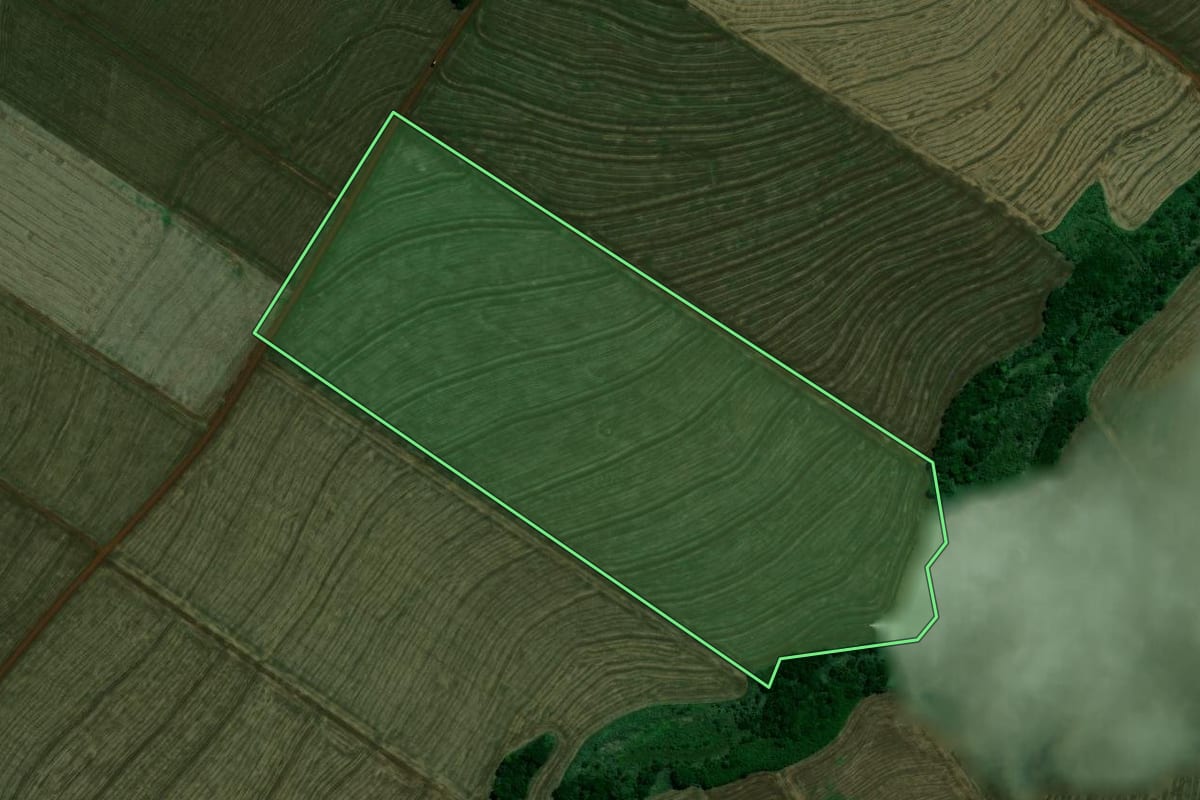 Imagem de satélite do imóvel rural em Ourizona (PR), com o contorno declarado no CAR desenhado por cima.