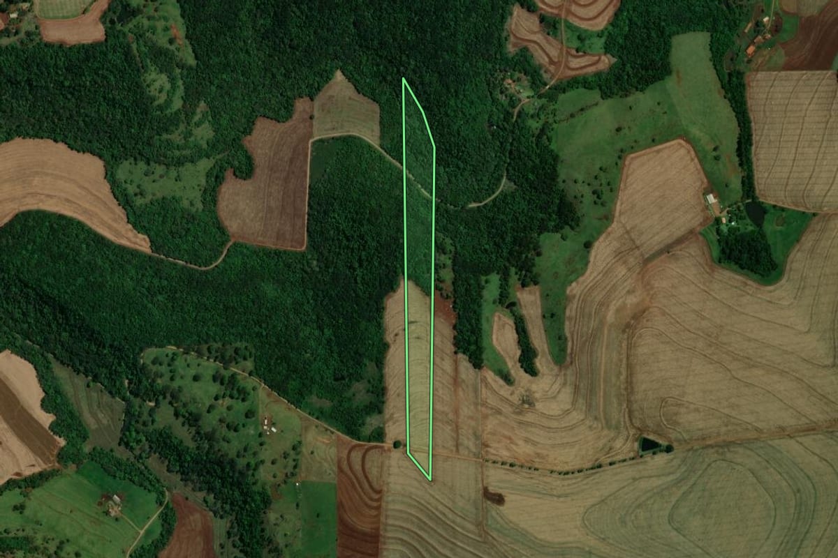 Imagem de satélite do imóvel rural em Ouro Verde do Oeste (PR), com o contorno declarado no CAR desenhado por cima.